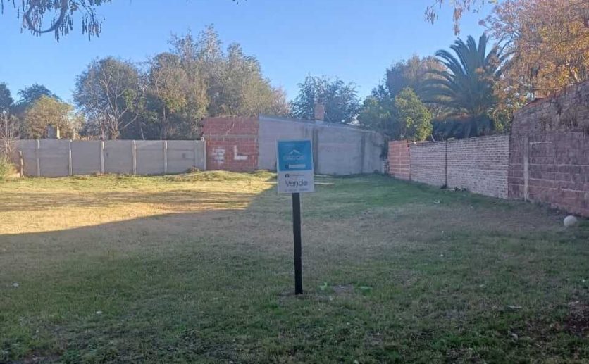 WhatsApp Image 2025-06-06 at 17.01.23